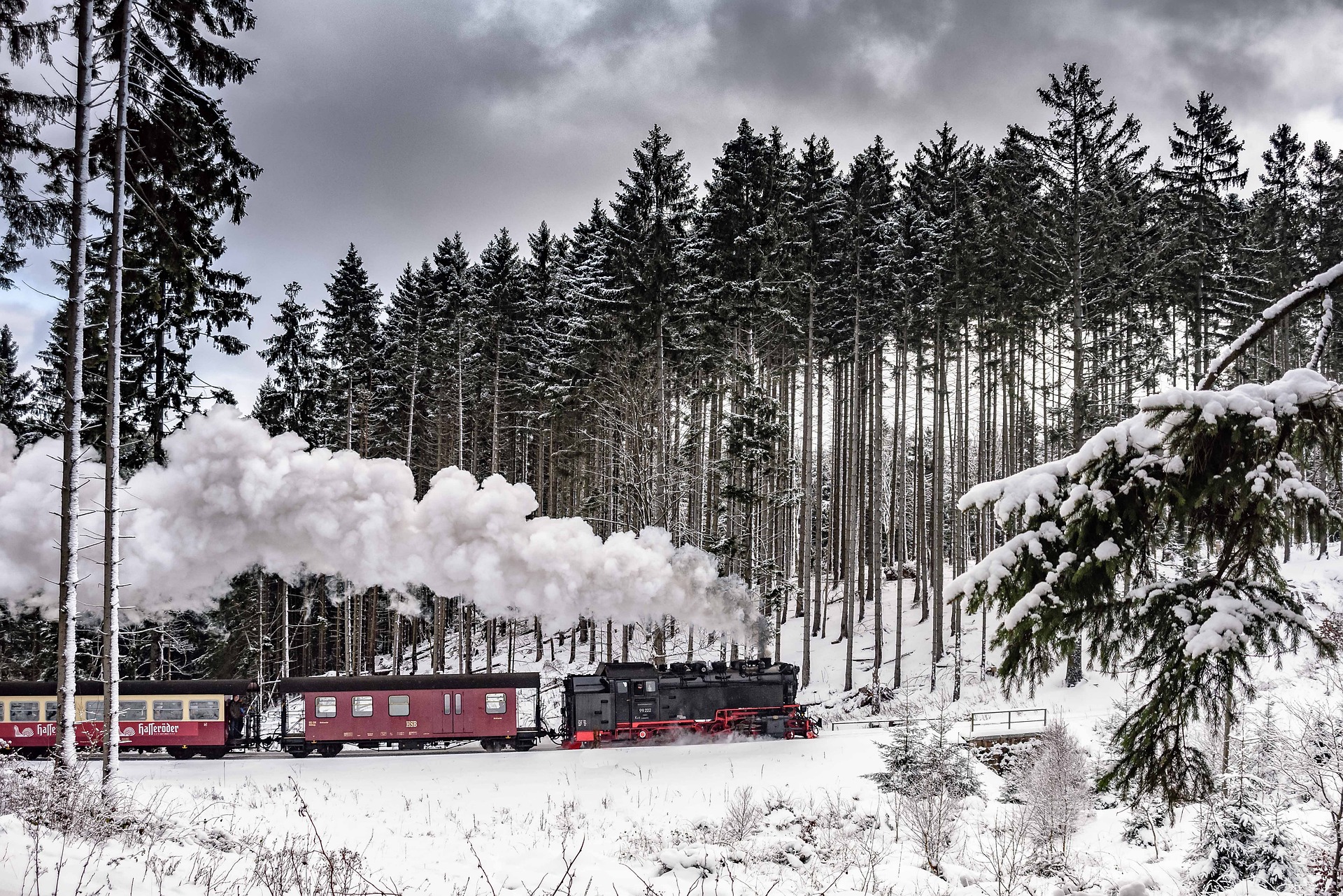 5 Gründe, in den Harz zu fahren