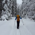 Entfliehe dem Alltag mit einer Wandertour im Winter